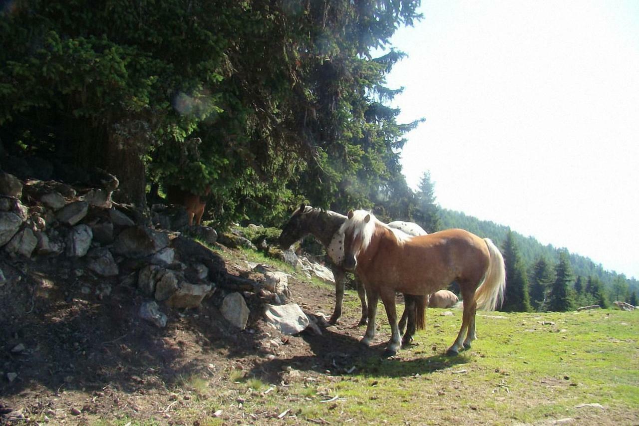 Bauernhof Hatzlhof Schöder Exterior foto